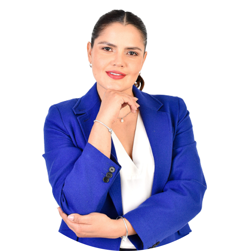 LeidyColmenares-experiencia